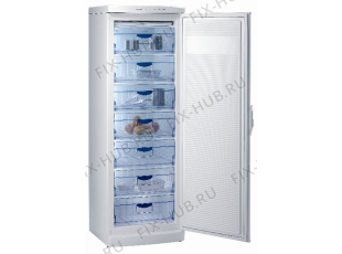 Холодильник Gorenje F6313W (182557, ZOS3166) - Фото